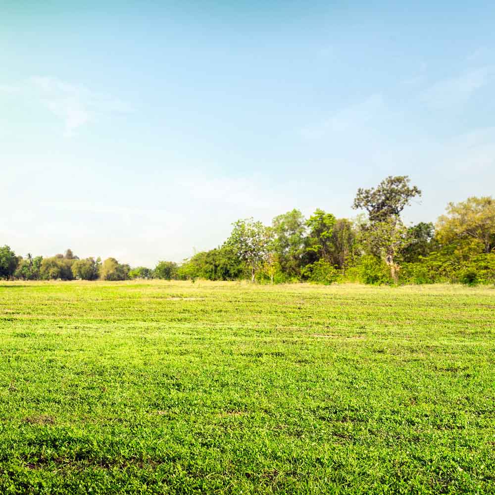 open-land-for-custom-home Build on your lot | OMZ HomZ